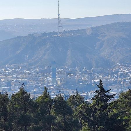 Уиут Ниниа Сад Apartment Tbilisi Bagian luar foto