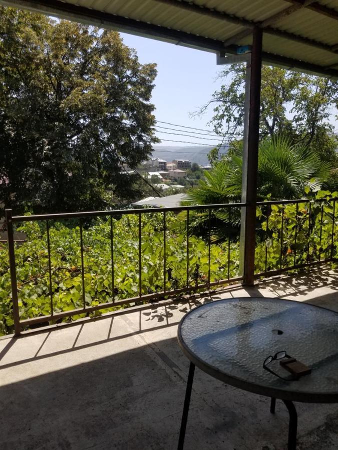 Уиут Ниниа Сад Apartment Tbilisi Bagian luar foto
