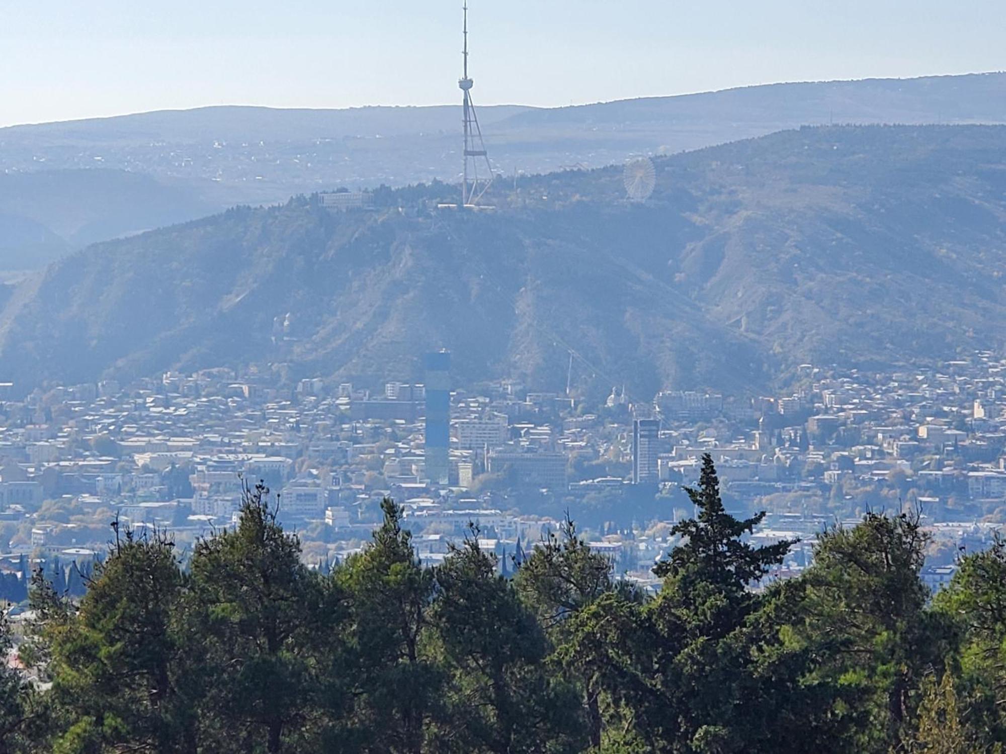 Уиут Ниниа Сад Apartment Tbilisi Bagian luar foto